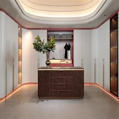 Moderne stijl garderobe
